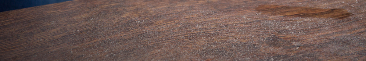 dust-mites Dust Mite Treatment