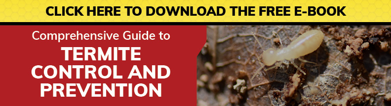 Download the Comprehensive Guide to Termite Control and Prevention E-Book