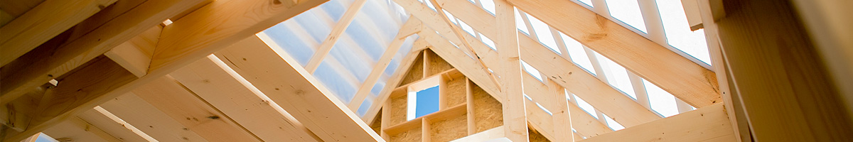 wdir-banner-2023 Wood-Destroying Insect Report