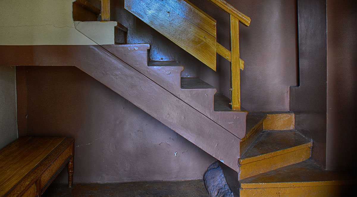 Help: My Wet Basement is Attracting Bugs