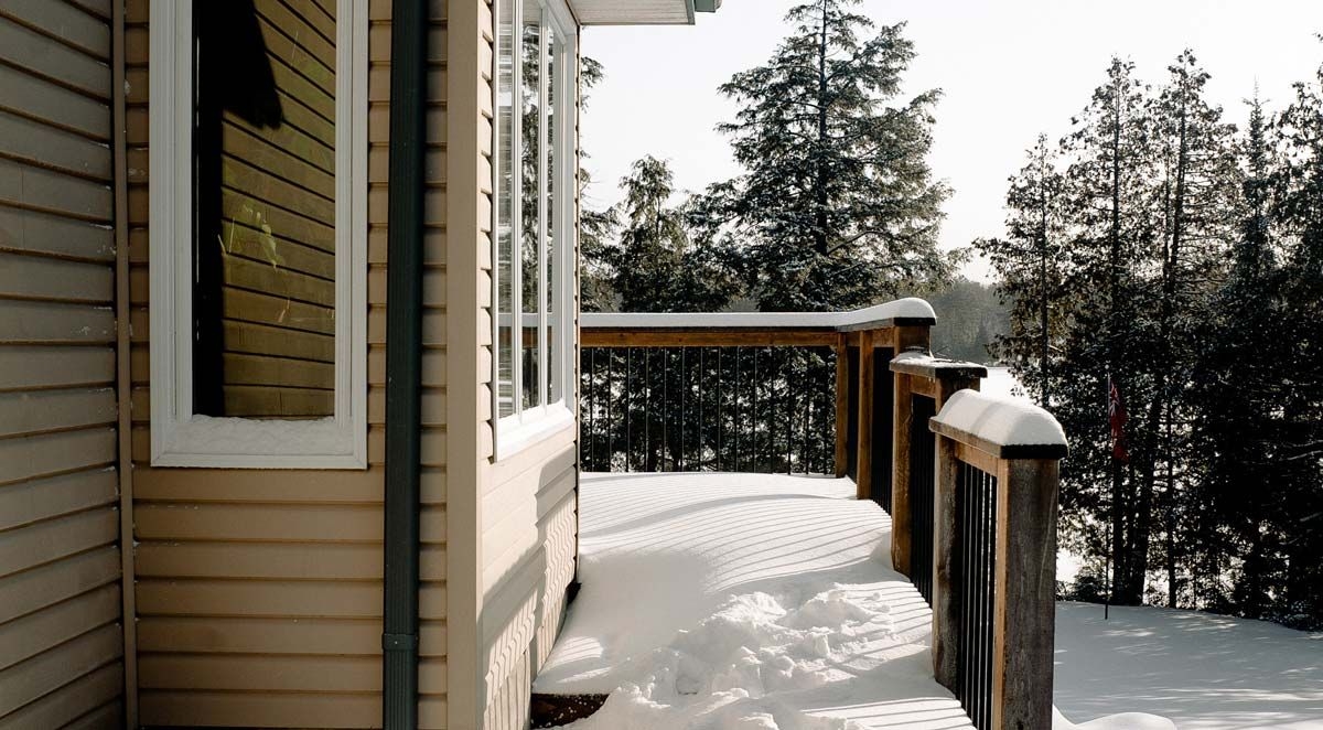 077ab55046ce80eaf9a3ddea999597ca_L image 5 Common Winter Pests in North Carolina and Virginia