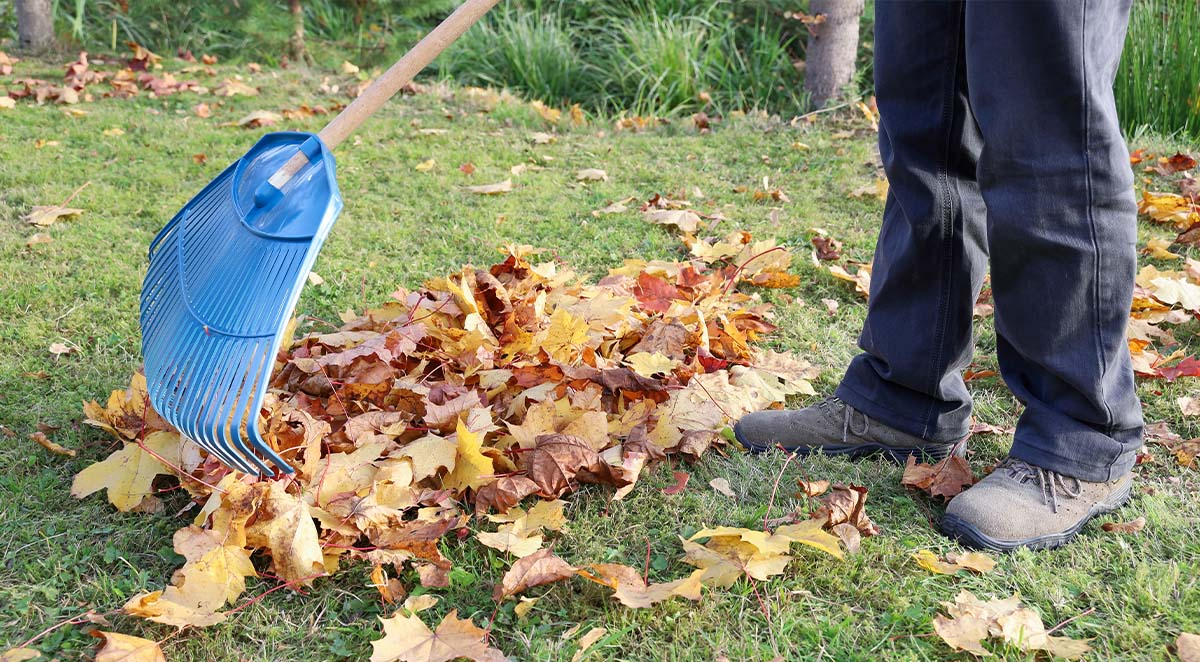 Are There Fewer Pests During Fall?