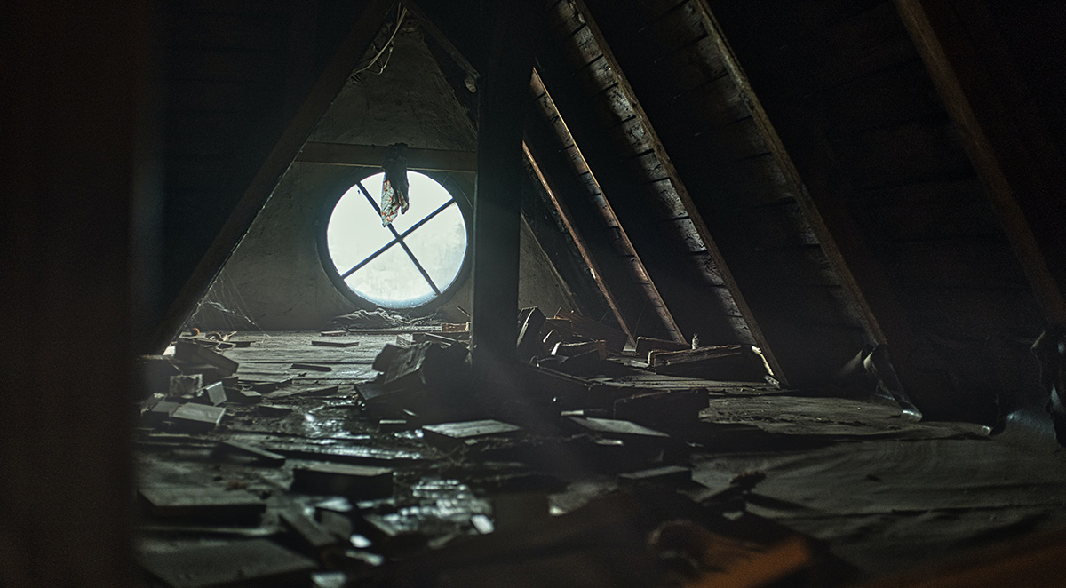 How To Prevent Rodents and Bugs in Your Attic