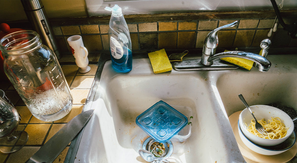 10 Ways You&amp;#039;re Attracting Pests Into Your House