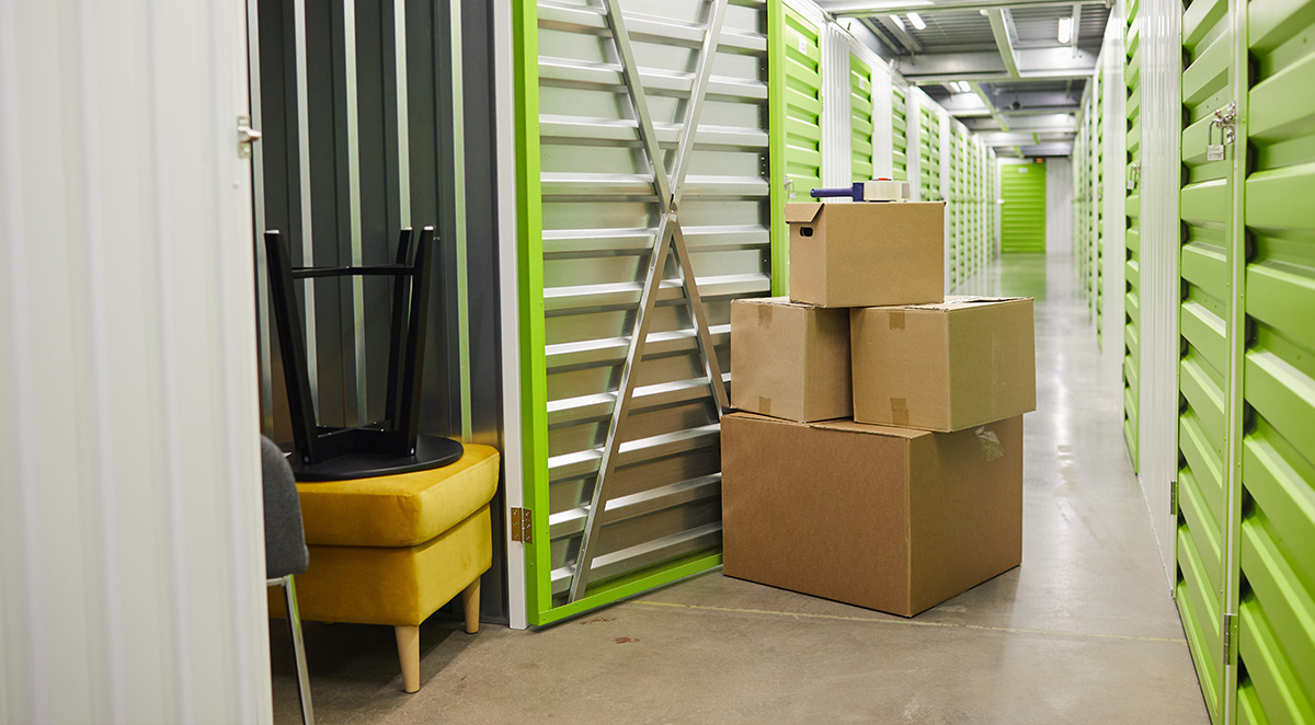 What Kinds of Bugs Are in Storage Units?