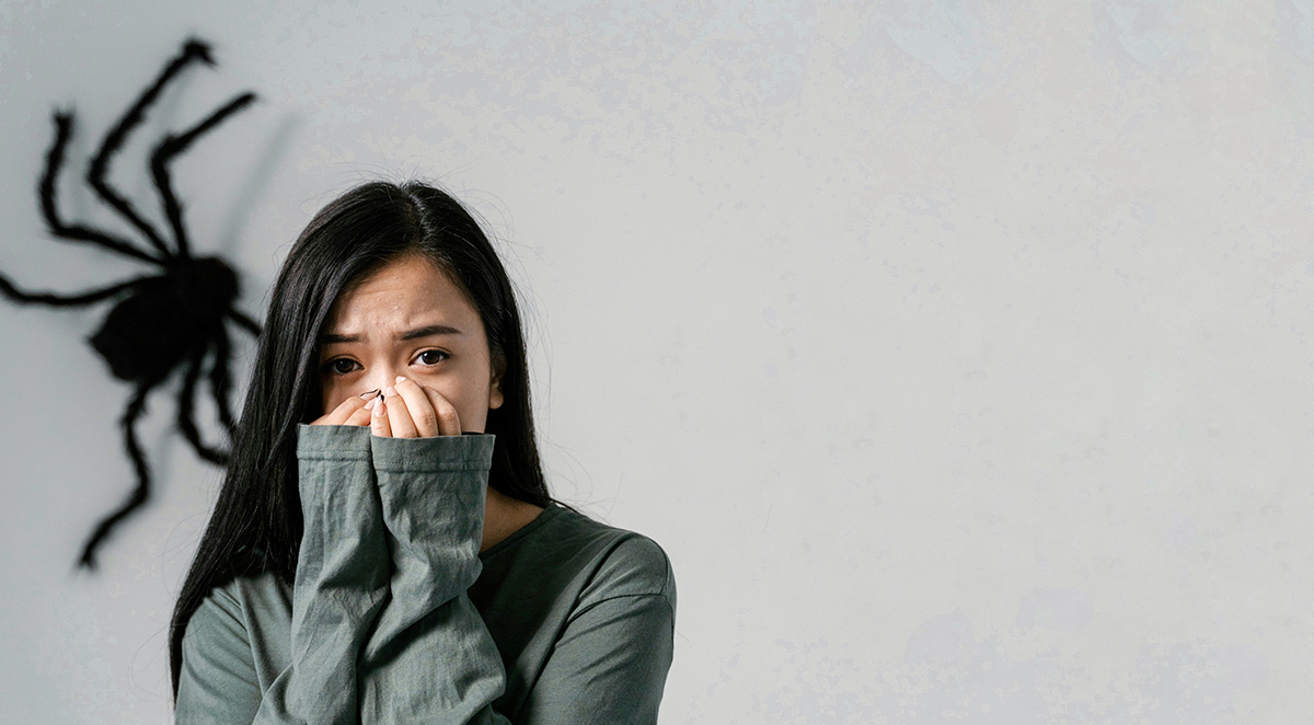 How to Keep Spiders Out of Your Home During Winter