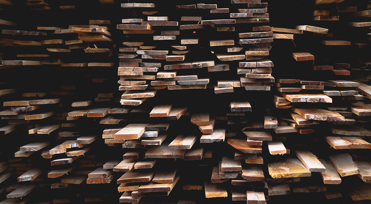 How to Get Rid of Powderpost Beetles