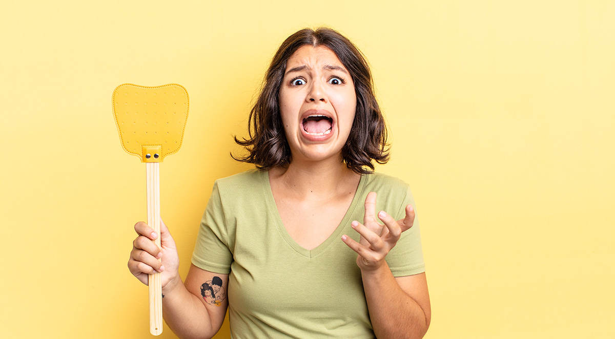 How to Get Rid of Flies Indoors