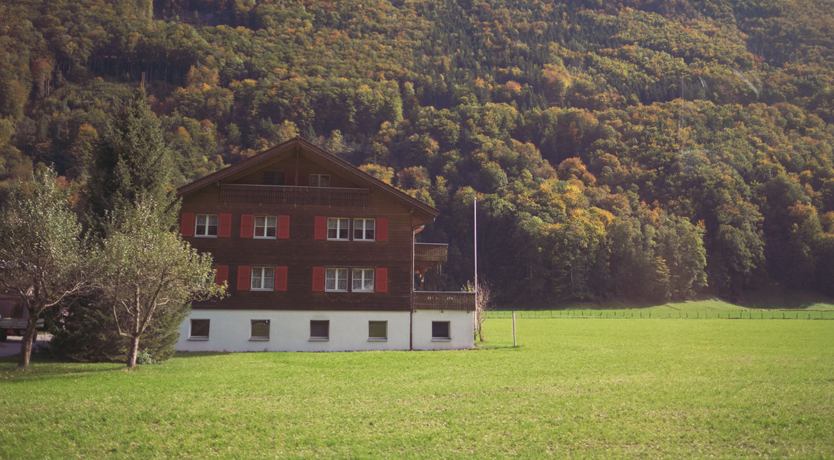 Termites in Mountain Properties: Special Considerations for Homeowners in Appalachian Regions