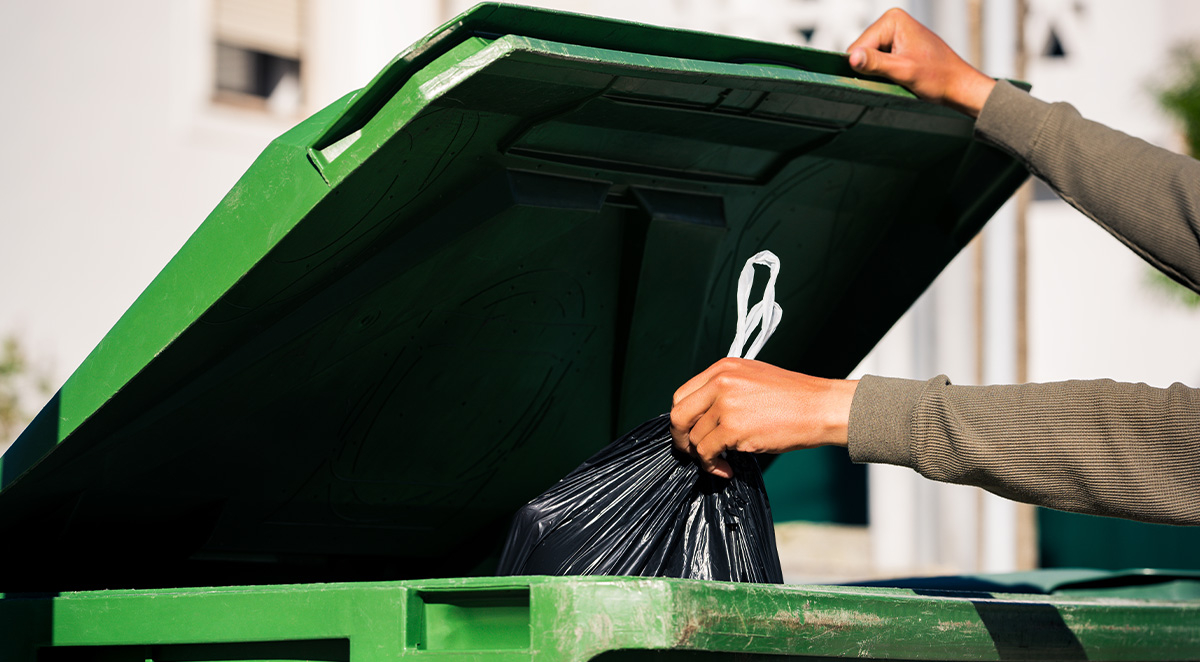How to Keep Flies Out of Your Home