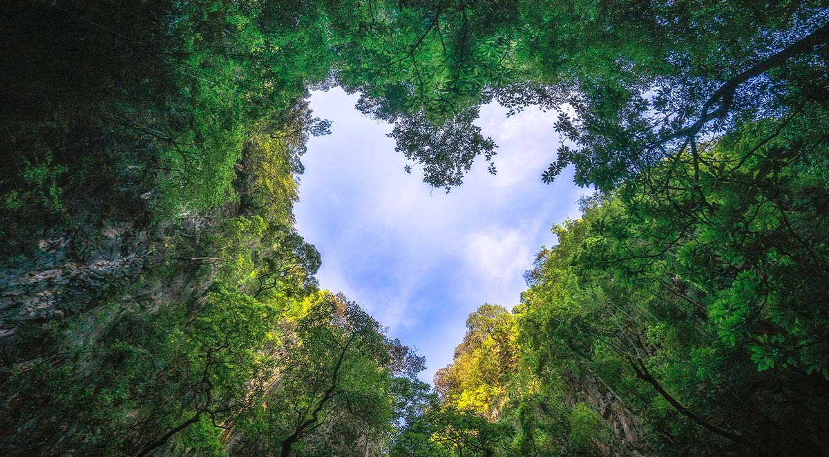 Five Reasons to Use Eco-Friendly Pest Control Techniques