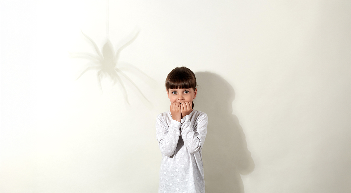 Why Are People Afraid of Spiders