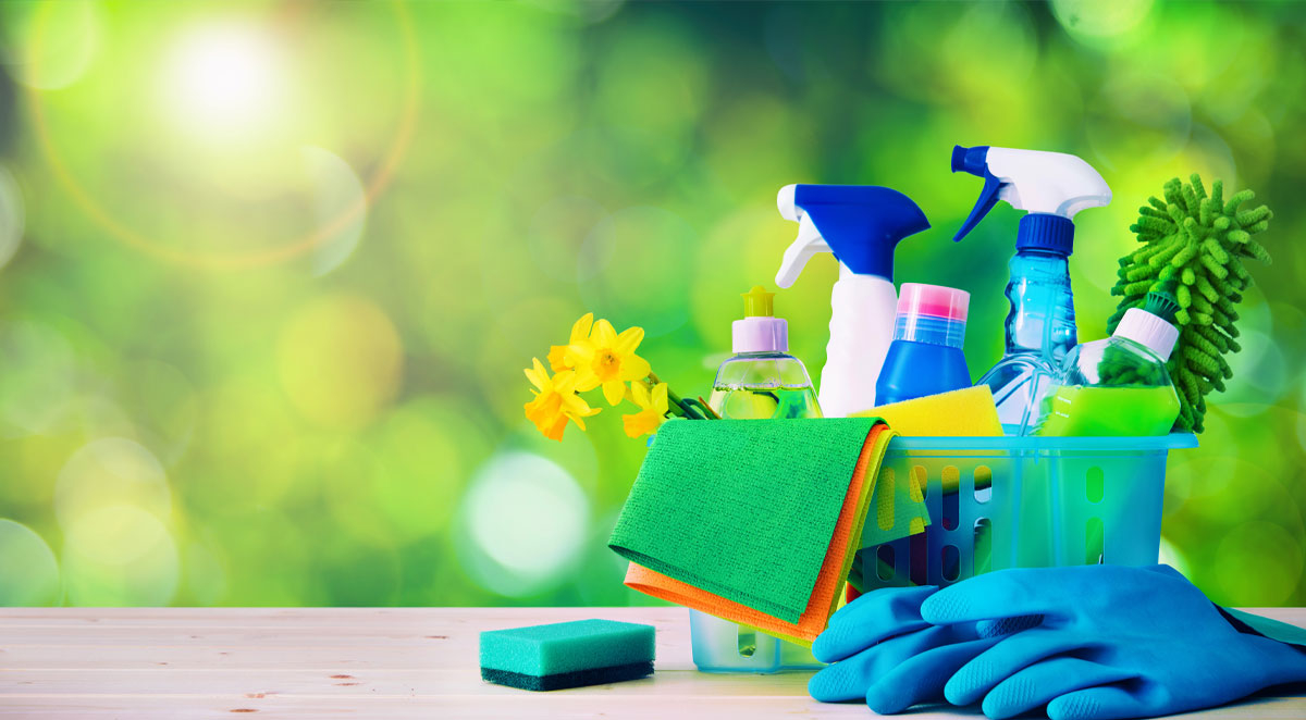 How Spring Clean Can and Cannot Help Protect Your Home from Pests