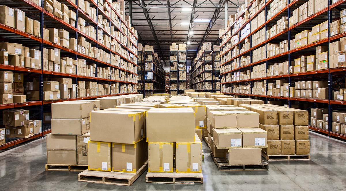 How To Prevent Pests In Your Warehouse