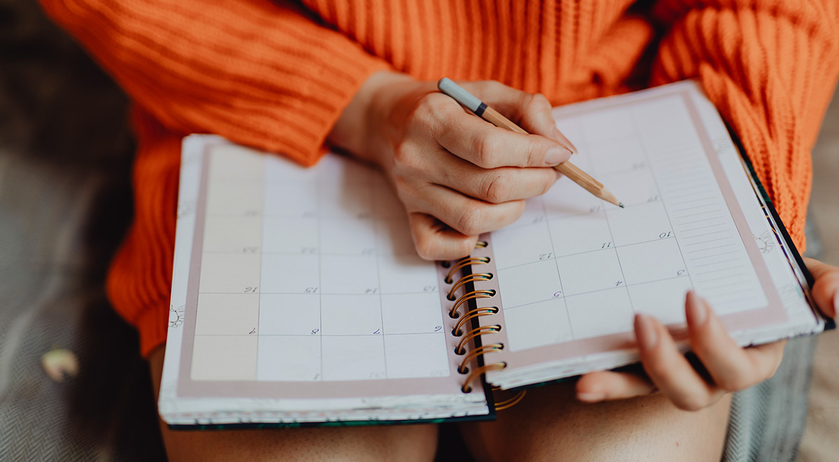 How Often Should Pest Control Be Done?