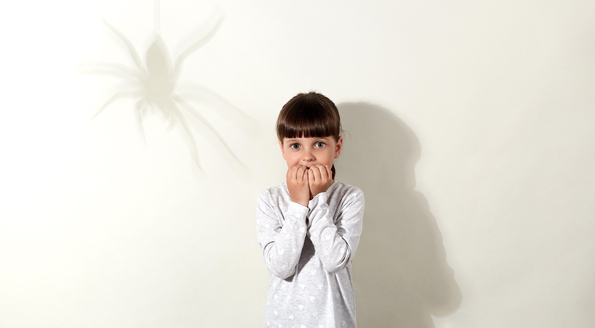 Does the Joro Spider Pose a Danger to You and Your Family?