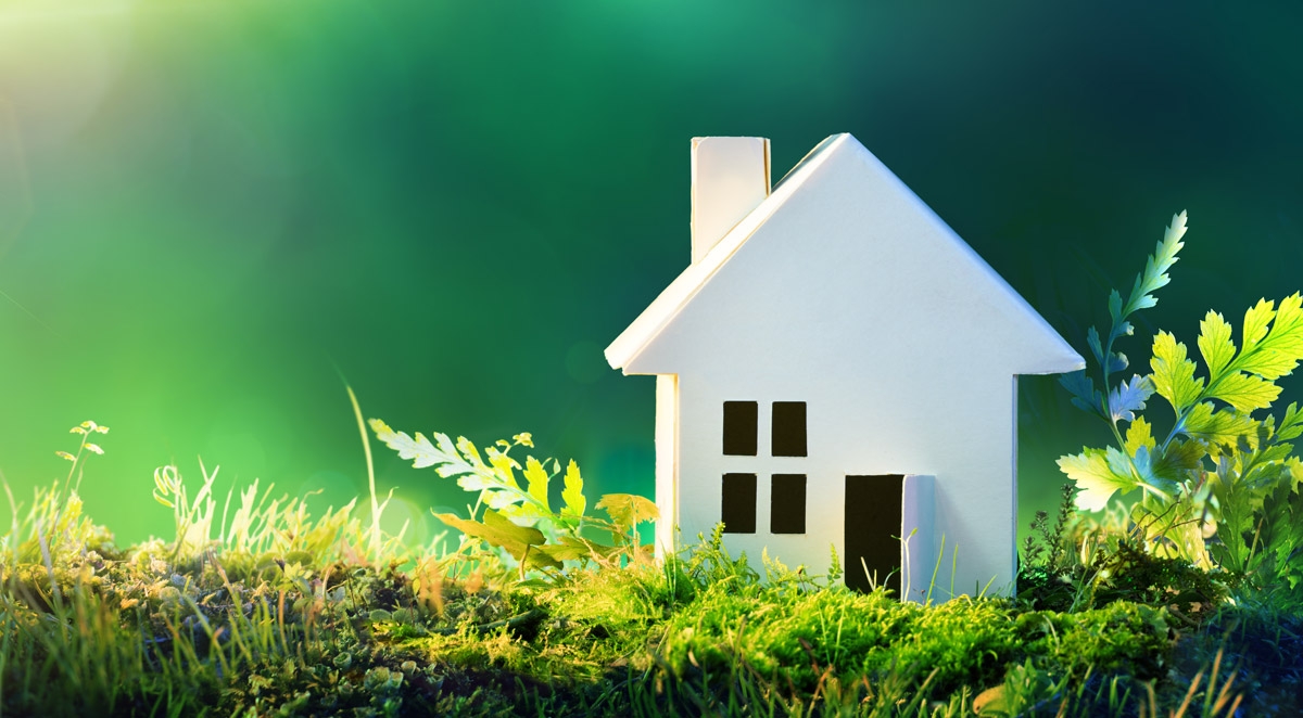 What Is Integrated Pest Management?