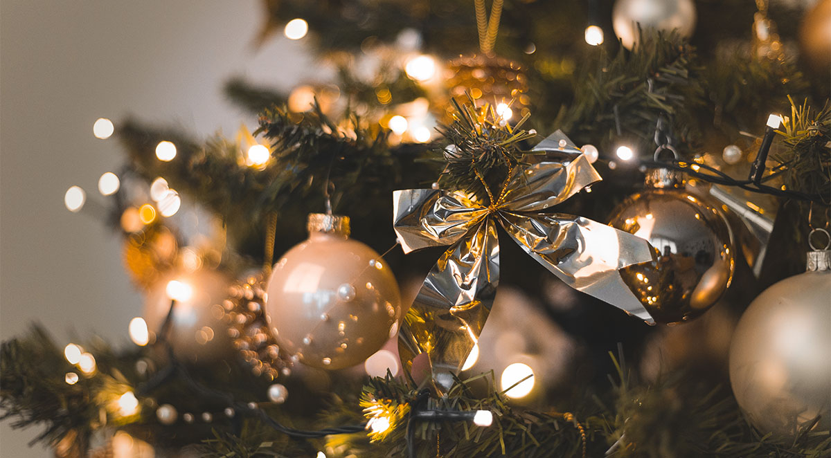 What Insects to Look Out for In Your Christmas Tree