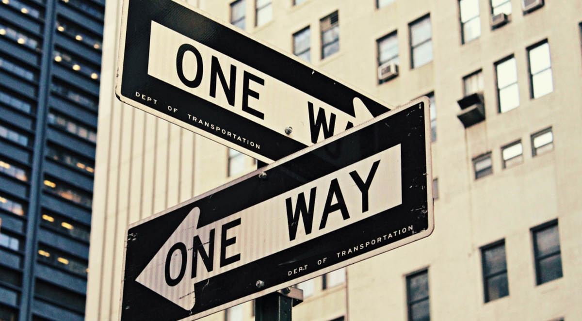 How to Choose a Professional Exterminator