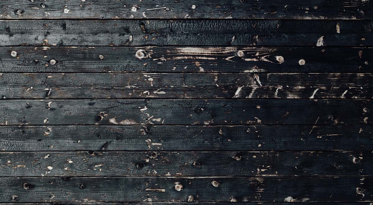 Wood-Boring Beetles in Houses