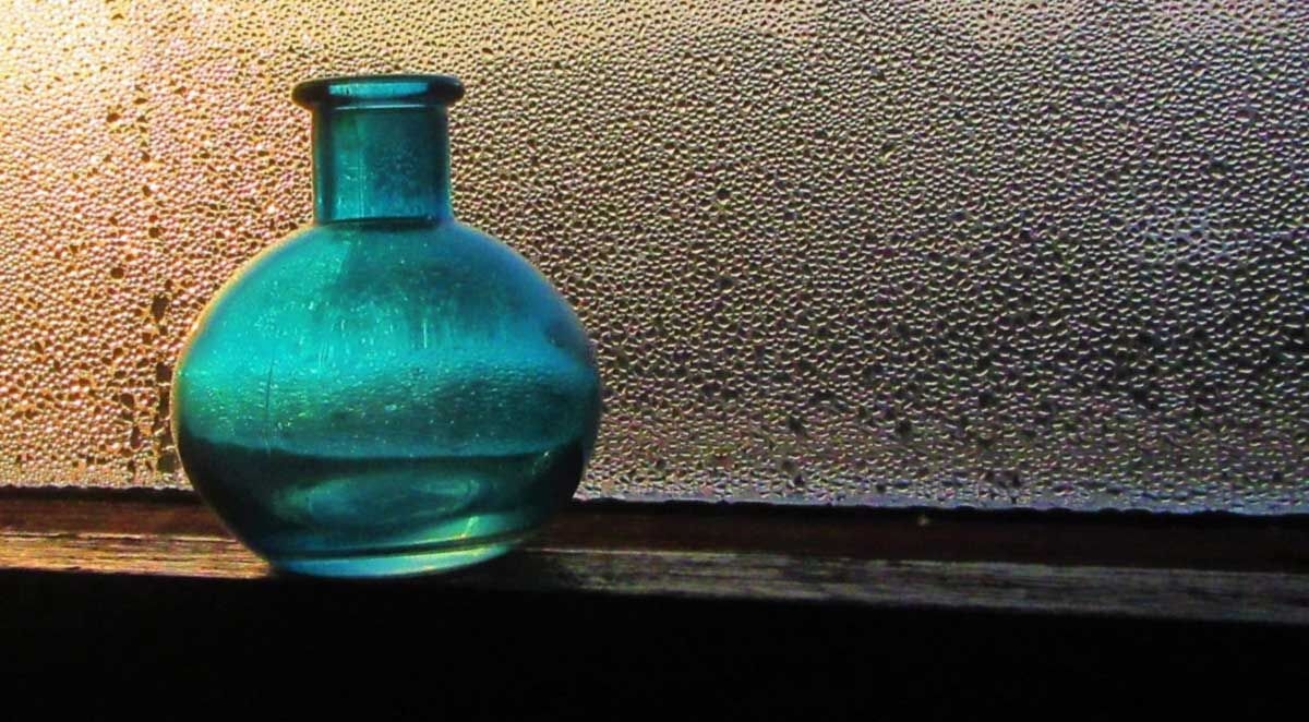 Problems Caused By Excess Moisture