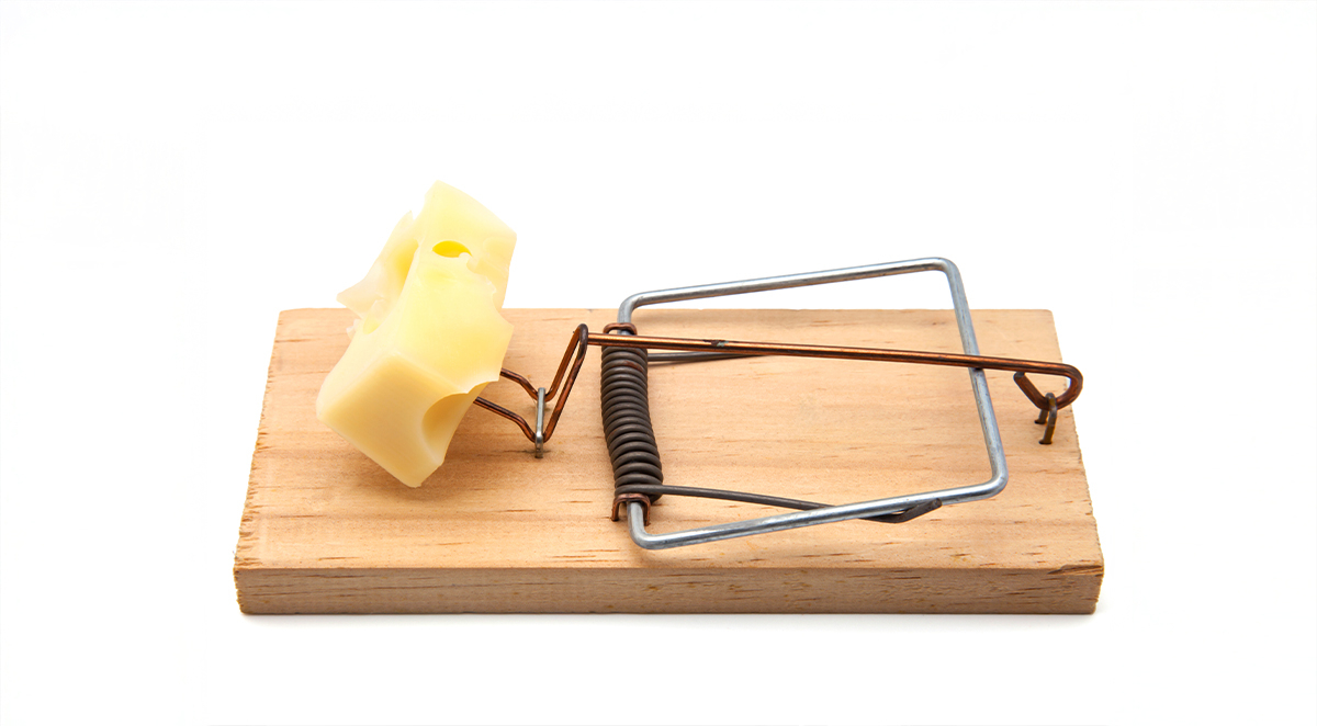 Mice Extermination and Getting Rid of Mouse Problems