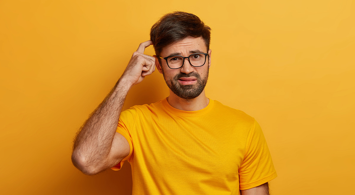 Is It a Wasp or a Bee? How to Identify