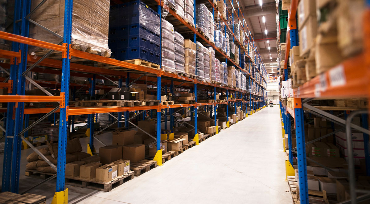 What Kinds Of Pests Live In Warehouses?