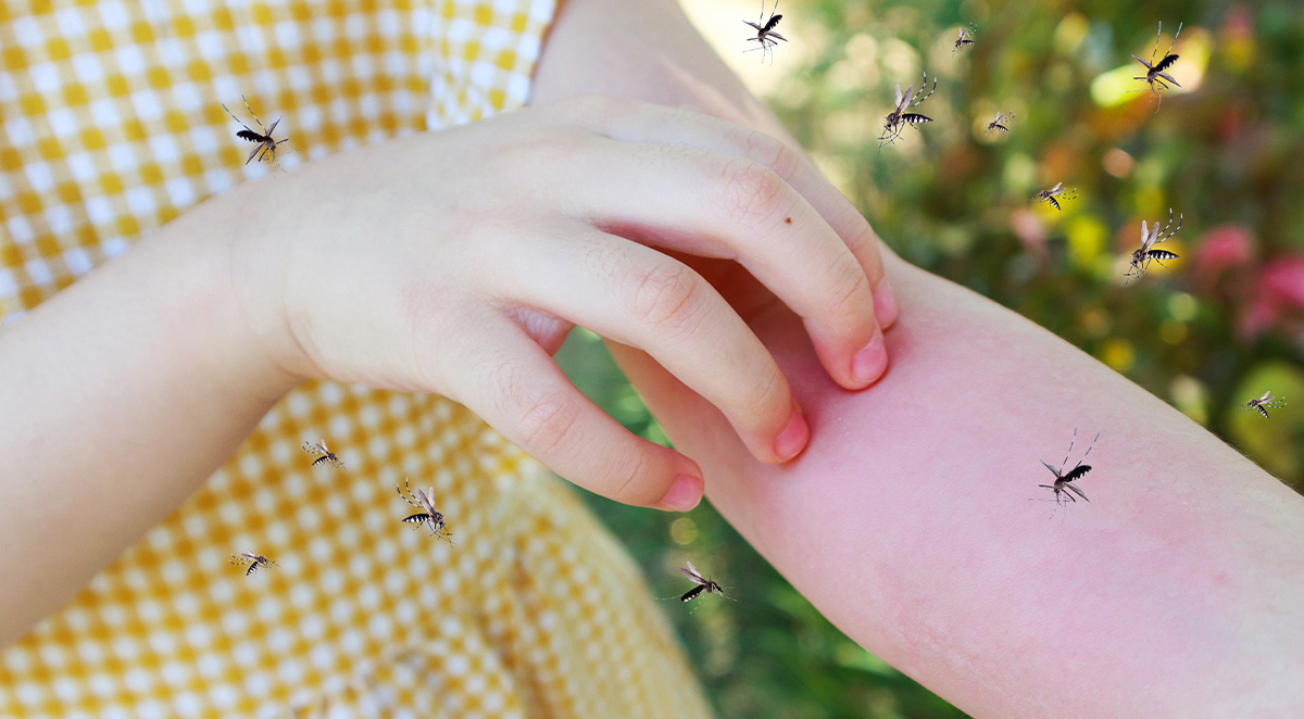 Can Pests Make Me Sick?