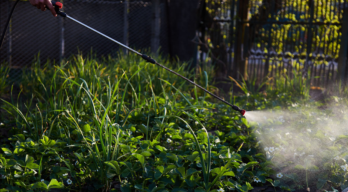 How Integrated Pest Management Takes Pollinators Into Consideration