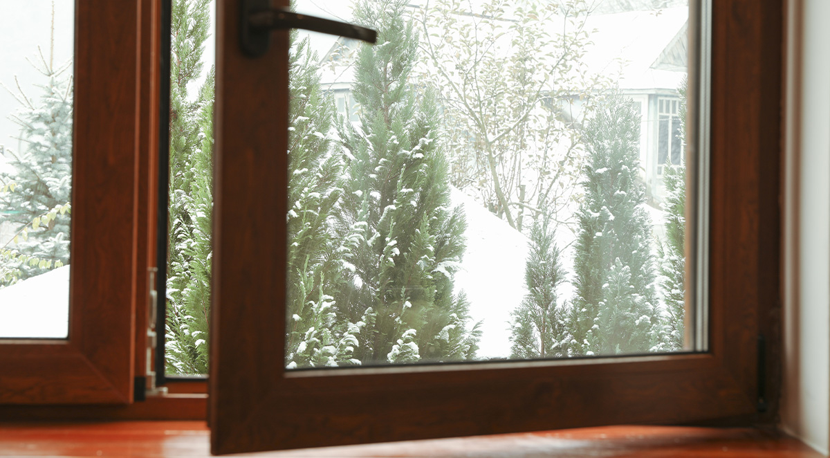 Are Insects Still Active in the Winter in NC