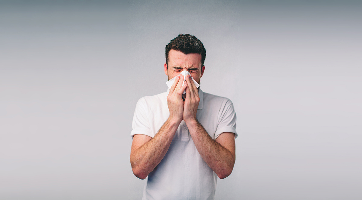 Five Ways Pests May Be Causing Your Allergies