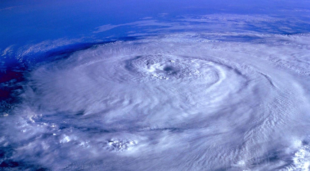 Do Tropical Storms Bring Pests with Them?